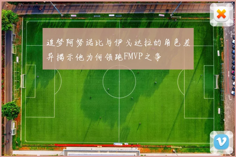 追梦阿努诺比与伊戈达拉的角色差异揭示他为何领跑FMVP之争