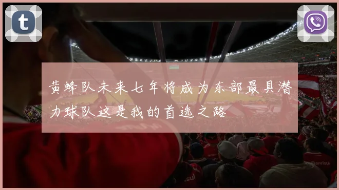 黄蜂队未来七年将成为东部最具潜力球队这是我的首选之路